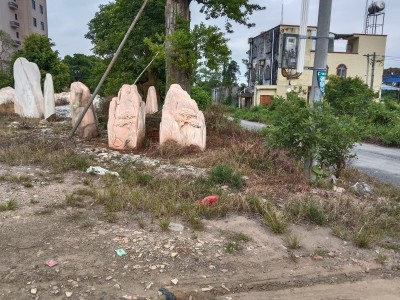 湛江麻章村牌石风景石公园石出售图1